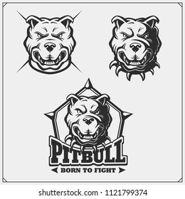 Vector set of pitbull heads. Sport club emblems and design elements.