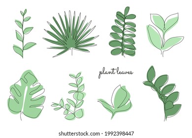 conjunto vectorial de hojas de planta