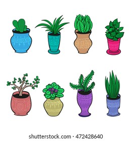 Vector set of plant in pots. Home flowers in hand drawn style collection.