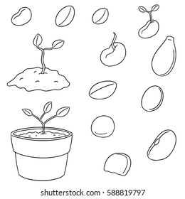 vector set of plant seed