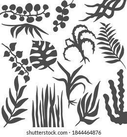 Vector set of plant shadows. Tropical plant. Aloe, fern, monstera. Blanks for the background.