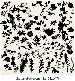 Vector set of plant silhouettes on white background