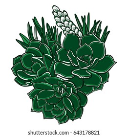 Vector set of a plant succulents. Bouquet with succulents and leaves.