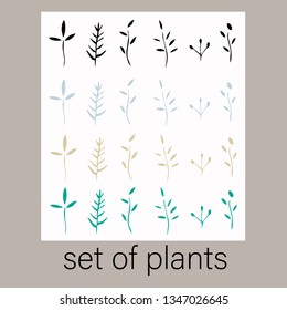 vector set of plants of different colors and types