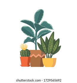 Vector set of plants. Flat design. Great for postcards, prints, posters, stickers, etc.