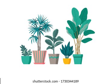 Vector set of plants. Flat design. Great for postcards, prints, posters, stickers, etc.
