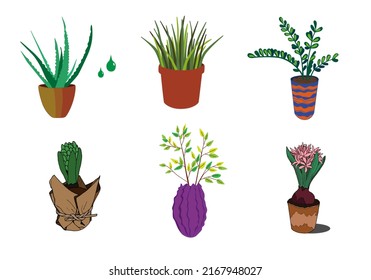 Vector set of plants and flowers in pots and vases for interior, decor, websites.