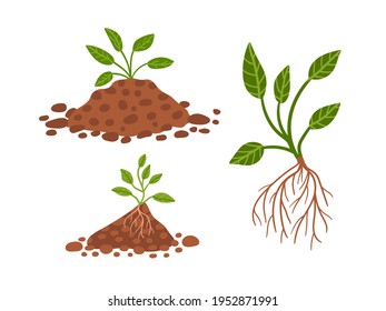Vector set of plants grow up in ground. Hand drawn plant in black ground. Seedling leafy plant. stickers, spring decor, textile, greeting cards. Vector stock illustration.