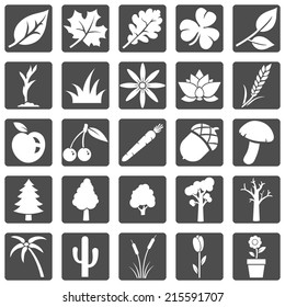 Vector Set of Plants Icons