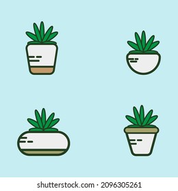 vector set of plants with many leaves in a pot, perfect for illustration and graphic design

