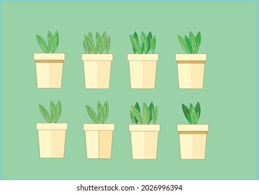 conjunto vectorial de plantas, planta en olla y recipiente, verdura, hierba, hierba, flor, vegetación para interiores, hogar, oficina, oficina doméstica, vegetación