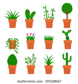 vector set of plants in pots