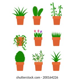 vector set of plants in pots