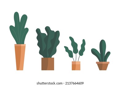 Vector set of plants. Potted plants collection sorted in order big to small. Hand drawn vector. 