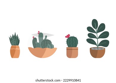 Conjunto vectorial de plantas en macetas. Protegido del vector de recolección de plantas dibujado a mano sobre el fondo blanco. 