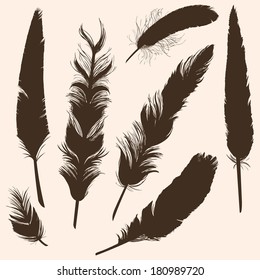 Vector Set of Plumage Silhouettes