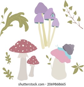 Vector set of poisonous mushrooms and leafs, autumn mood