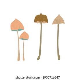 vector set of poisonous mushrooms on white background isolated elements