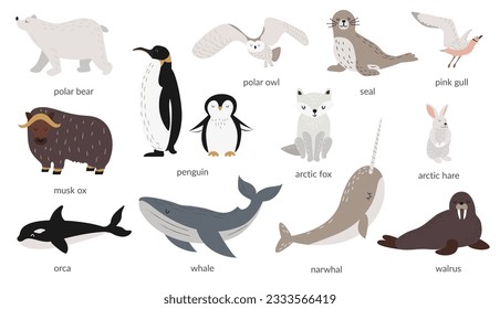 Vector set of polar animals with names. Marine mammals and birds. Whale, narwhal, walrus, polar owl, polar bear, penguins. Vector illustration in flat style. Banner, poster. Isolated objects. 