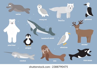 Vector set of polar animals with names. Seabirds and mammals. Whale, guillemot, albatross, walrus, polar owl, polar bear, penguin, polar deer. Vector illustration in flat style. Banner, poster. Isolat