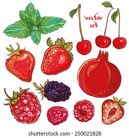 Vector set with pomegranate, strawberry, mint, cherry, raspberry, blackberry. Illustration of small fruits and berries. Fresh, juicy and colored. eps 10