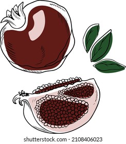 Vector set of pomegranates, whole and sliced, doodle style on white background