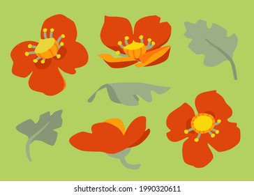 Vector set of poppies. Forest and meadow flowers.