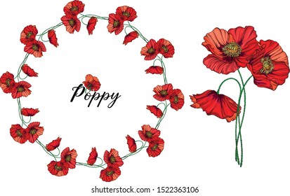 Vector set with poppy flowers. Spring flowers