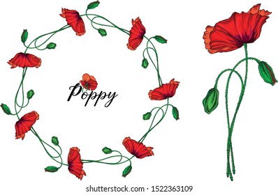 Vector set with poppy flowers. Spring flowers