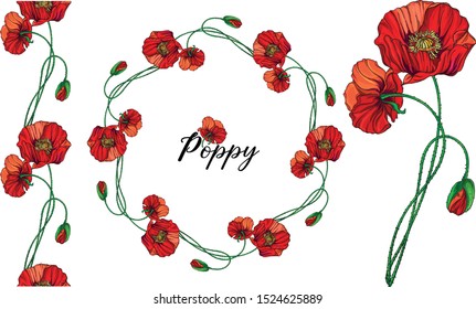 Vector set with poppy flowers. Spring flowers