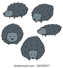 vector set of porcupine