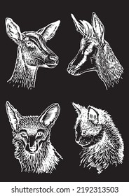 Vector set of portraits of animals , kitten, deers and fox heads on black isolated