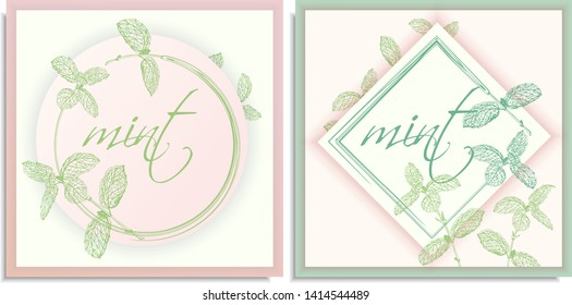 Vector set of postcards templates, invitation with hand-drawn graphics sprigs of beautiful mint, Gently color shades of green, white, pink gradient. Lettering: mint, you can change or use as it is