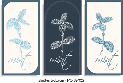 Vector set of postcards templates, invitation with hand-drawn graphics sprigs of beautiful mint, Gently color shades of green, blue, little gradient. Lettering: mint, you can change it or use as it is