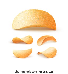 Vector  Set of  Potato Crispy Chips Close up Isolated on White Background