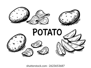 Conjunto vetorial de desenhos de batatas. Peças e estilhas fatiadas. fundo isolado