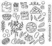 Vector set of potato products. A sketch of chips, french fries, whole potatoes. potatoes with roots. A flowering plant. Vector illustration of harvest vegetables.