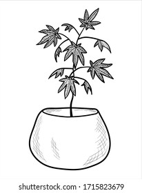 Conjunto vectorial de cannabis machacado. Ilustración aislada con una línea negra en un fondo blanco. Artículos, libros y revistas y producción de cáñamo