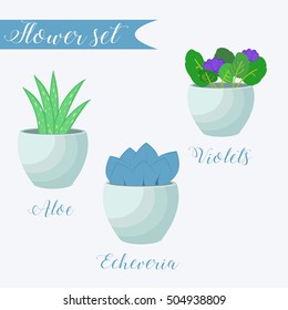 Vector set of potted flowers. Aloe, Echeveria, Violets.