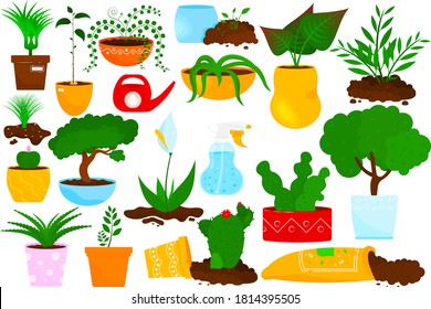 Vector set of potted house plants. Flowers and green home plants in pot. Objects for interior design. Water spray, soil, aloe, cactus