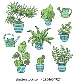 Vector ambientado con macetas de plantas y latas de agua, sobre fondo blanco