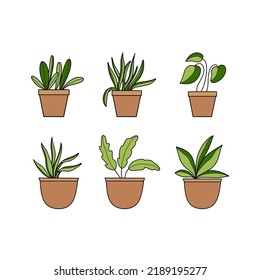 Vector Set of Potted Plants Illustrations 