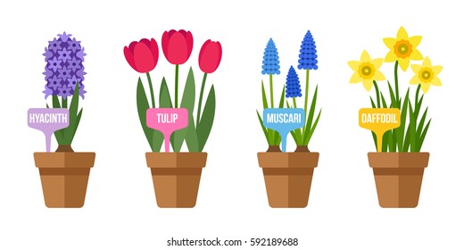 Vector set of potted spring flowers with labels. Flat style.