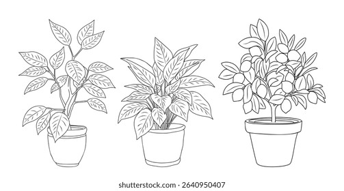 Vector set of potted tree plants line art drawings. Elegant sketch style for interior decor, garden, patio or landscape design. Minimal black outline, isolated on white background.