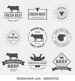 vector set of premium beef labels, badges and design elements. 