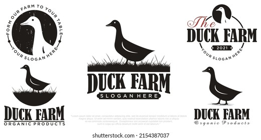 vector set of premium duck meat logo, badges and design elements