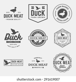 vector set of premium duck meat labels, badges and design elements