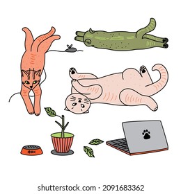 Vector set for printing stickers or postcards Scenes from the life of cats