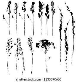 Vector set of prints of summer herbs . Isolated black on white. Elements for natural or ecological design