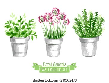 Vector set of provence herbs. Floral watercolor illustration